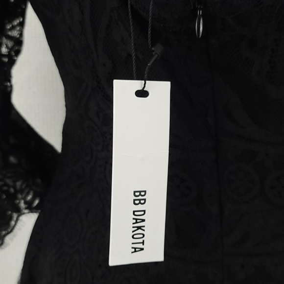 BB Dakota Jayce Lace Sheath Dress - Picture 7 of 15